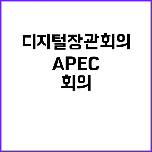 APEC 디지털 장…