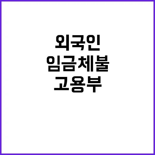 외국인근로자 임금체…