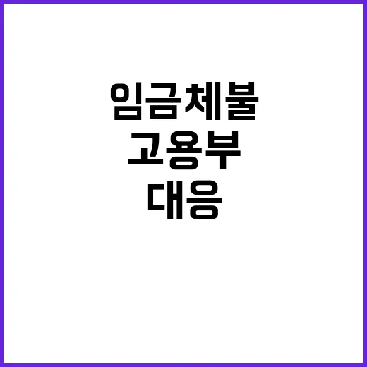 임금체불 중대범죄인…