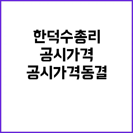 공시가격 동결 한덕…