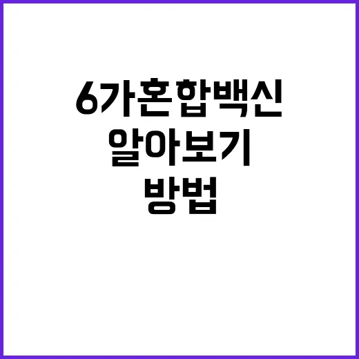 ‘6가 혼합백신’으로 건강 지키는 방법 알아보기!