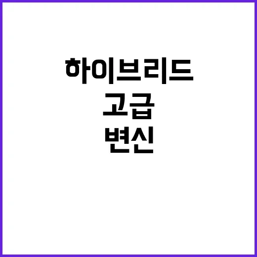 하이브리드 차량 고급택시로의 변신 기대!