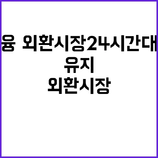 안정세 금융·외환시…