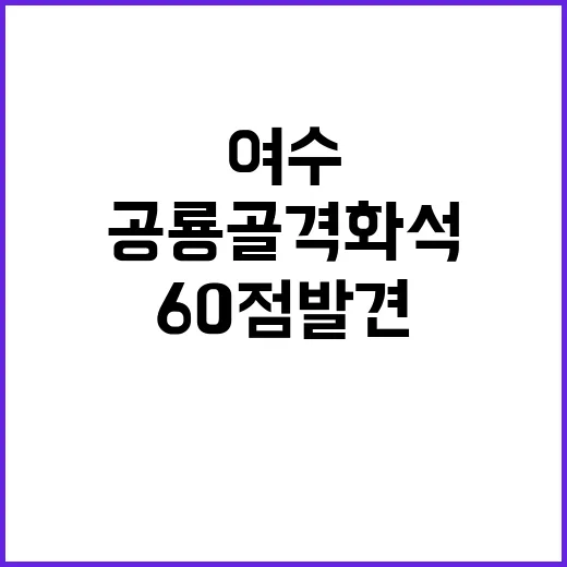 공룡골격화석 여수에서 60점 발견! 놀라운 발견!