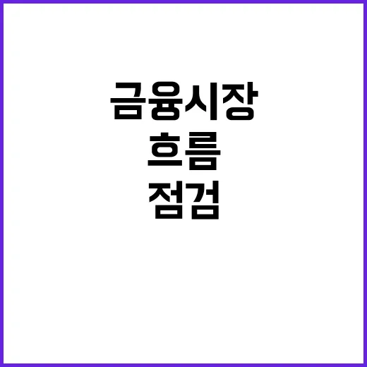 금융시장 정부 점검…