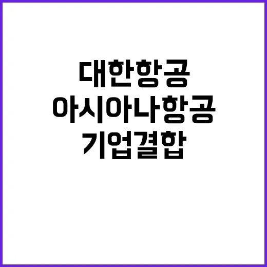 대한항공 기업결합 아시아나항공 최종 심사 통과!