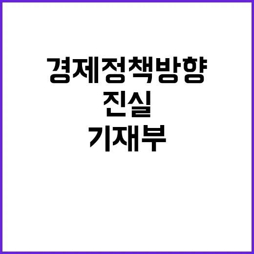 경제정책방향 결정된 사항 없다는 기재부의 진실!