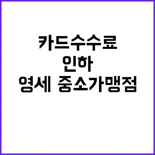 카드 수수료 인하 영세·중소가맹점에게 희소식!