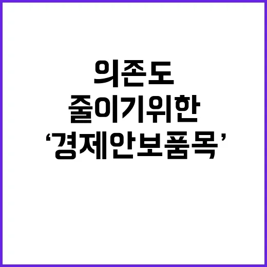 ‘경제안보품목’ 의존도 50% 줄이기 위한 투자!