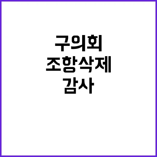 행안부 시·군·구의회 감사 조항 삭제 이유 공개!