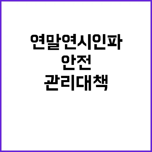 연말연시 인파관리 대책 안전과 즐거움 보장!