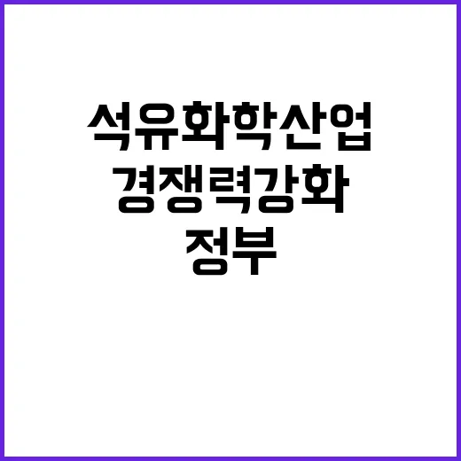 석유화학산업 정부의 경쟁력 강화방안 진실은 무엇일까?