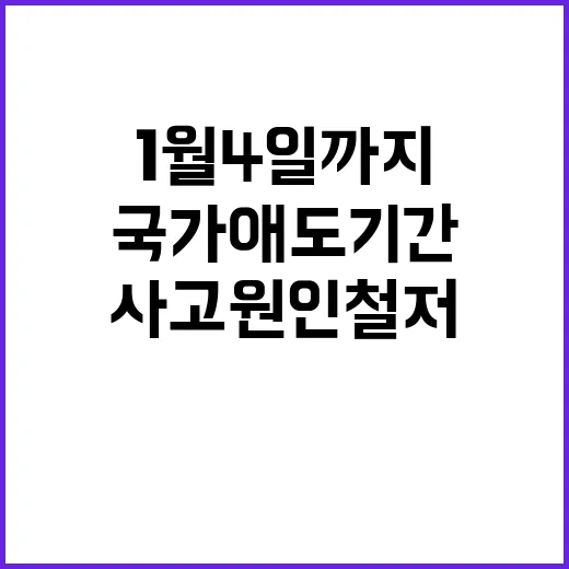 사고 원인 철저조사 국가 애도기간 1월 4일까지!