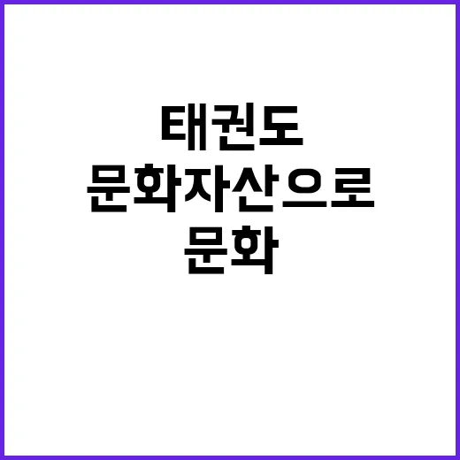 태권도 세계적 문화…