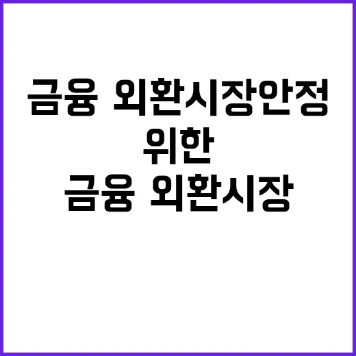 정부 금융·외환시장…