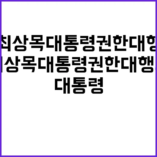 신년사 최상목 대통령 권한대행의 특별 메시지 공개!