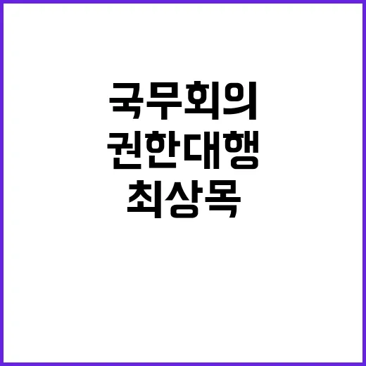 국무회의 권한대행 최상목의 중요한 발언 공개!