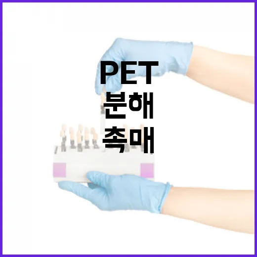 폐 PET 분해 바…