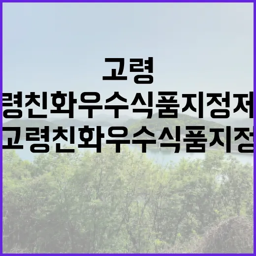 ‘고령친화우수식품 …