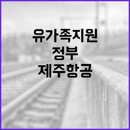 정부 제주항공 유가족 지원 지속적인 결정 발표!