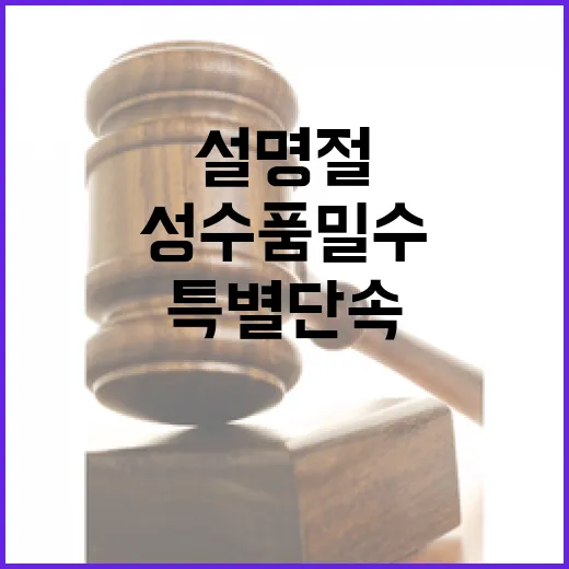 ‘성수품 밀수’ 설 명절 특별단속 주목하세요!