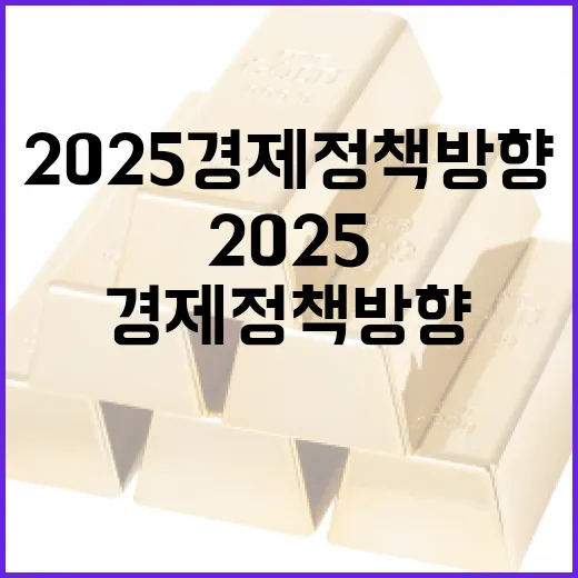 2025 경제정책방…