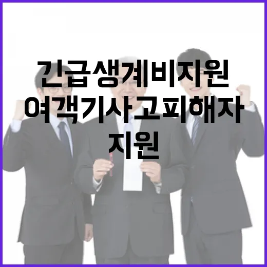 여객기 사고 피해자…