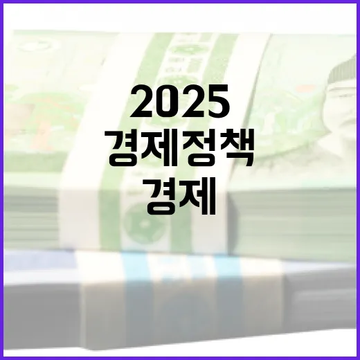 경기 회복 2025 경제정책의 숨은 비밀 공개!