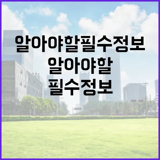 속도와 체감도 지금…