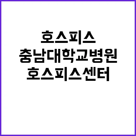 [대전본원] 충남대학교병원 2025년 권역호스피스센터 보조금계약직 직원 채용공고 (상시) 【채용분야 : 간호사】