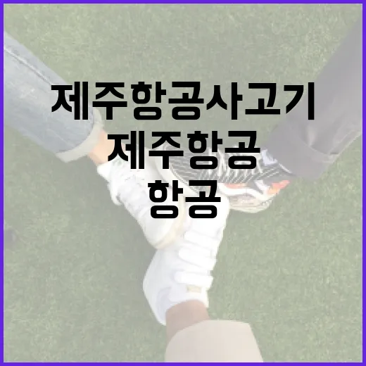 제주항공 사고기 안…