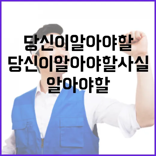 속도와 체감도 지금 당신이 알아야 할 사실!