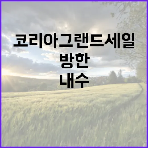 코리아그랜드세일 방…