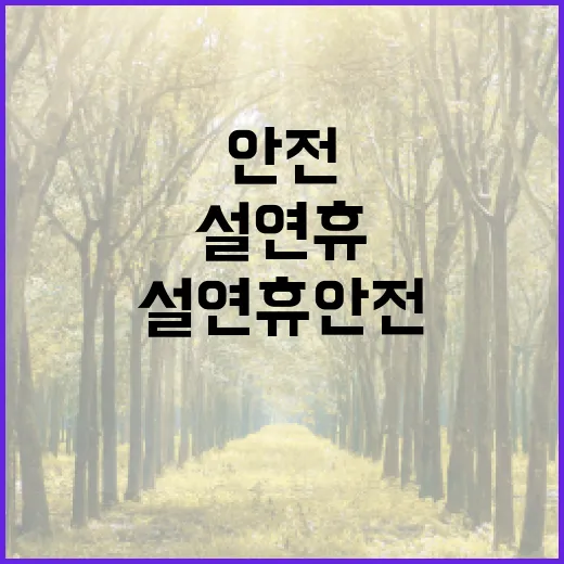 설 연휴 안전대책……