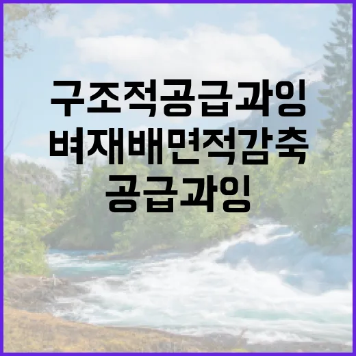 구조적 공급과잉 벼…