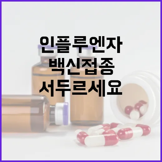 인플루엔자 백신 접…