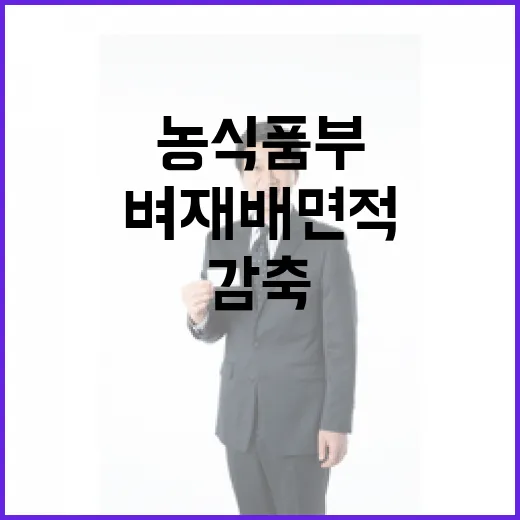 벼 재배 면적 감축 농식품부의 진실은?