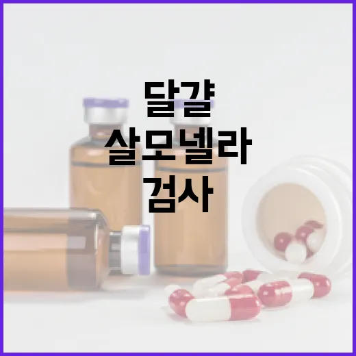 달걀 검사 강화 살모넬라·노로바이러스 집중 관리!