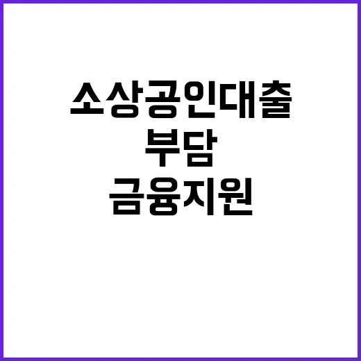 소상공인 대출 부담…