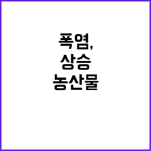 폭염, 농산물 가격 상승 사실 아니다! 놀라운 진실 공개!