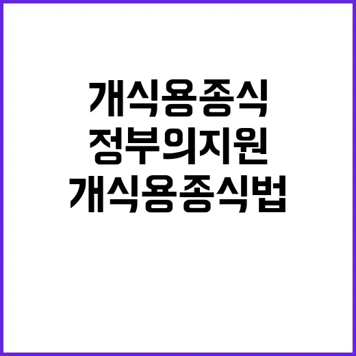 개식용종식법, 정부의 지원 계획이 궁금하다!