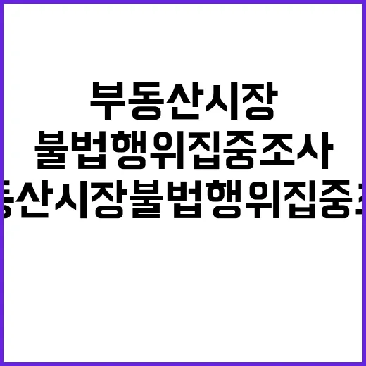 부동산 시장 불법행위 집중 조사 시작한다!