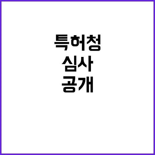 특허청 특별한 심사 기준 공개! 궁금한 사실들!