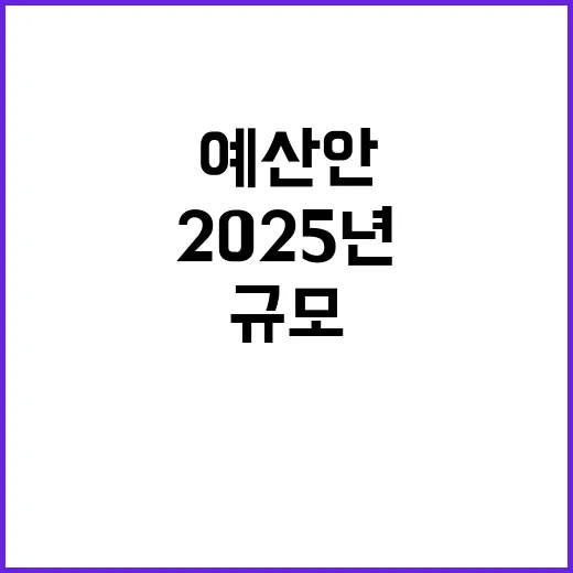 2025년 예산안 결정되지 않은 총지출 규모!