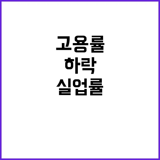 고용률 상승! 실업률 하락 취업자는 17만 증가!