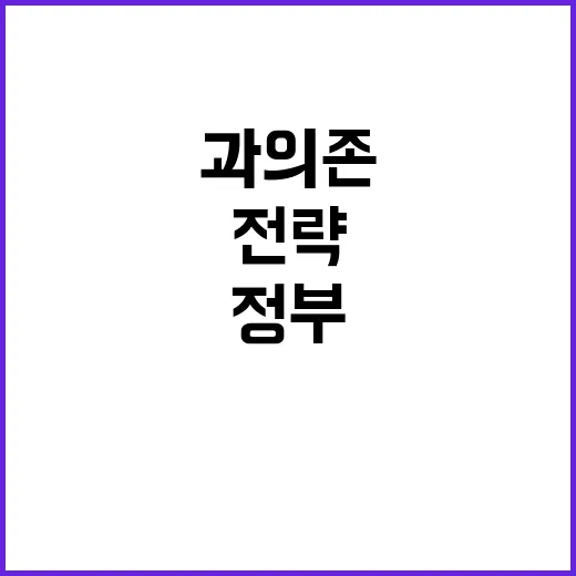 SNS 과의존 해소 정부의 새로운 전략 공개!