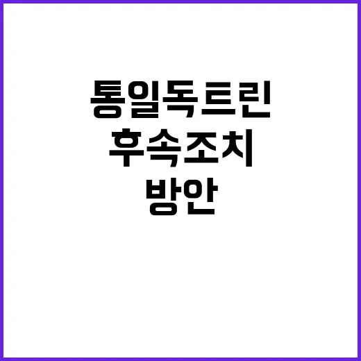 통일 독트린 현실적…