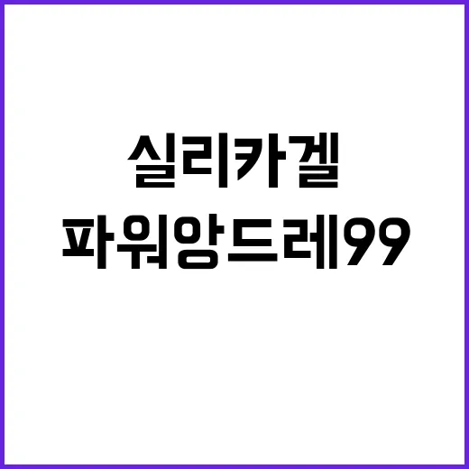 실리카겔 <파워 앙드레 99>