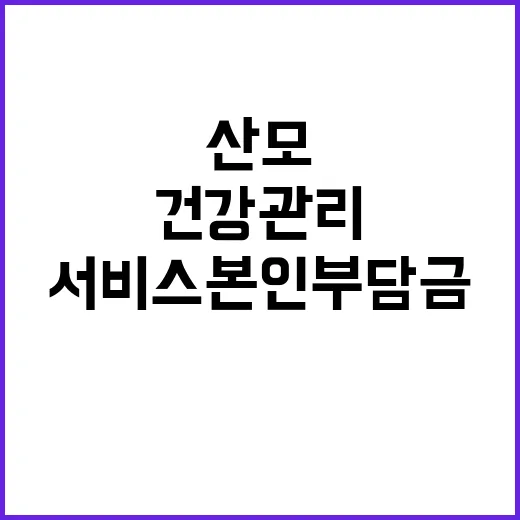 산모 건강관리서비스 본인부담금 조정 협의 중!