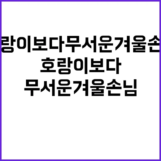 호랑이보다 무서운 …